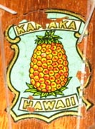 pineappledecal